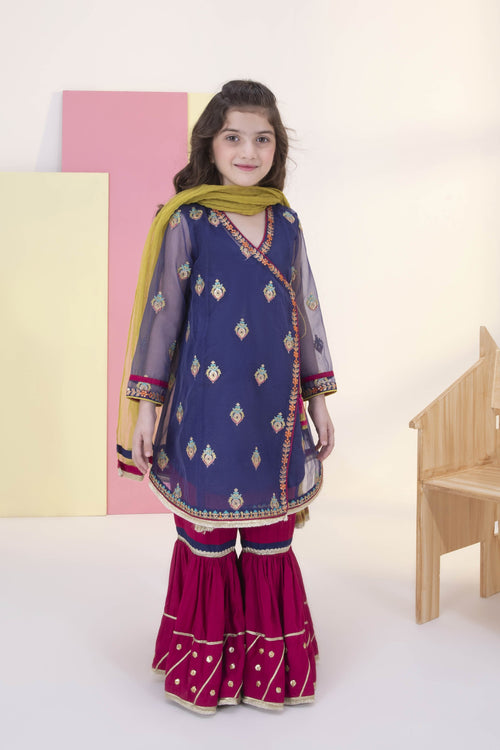 Sapphire - Embroidered Organza (only Dupatta)