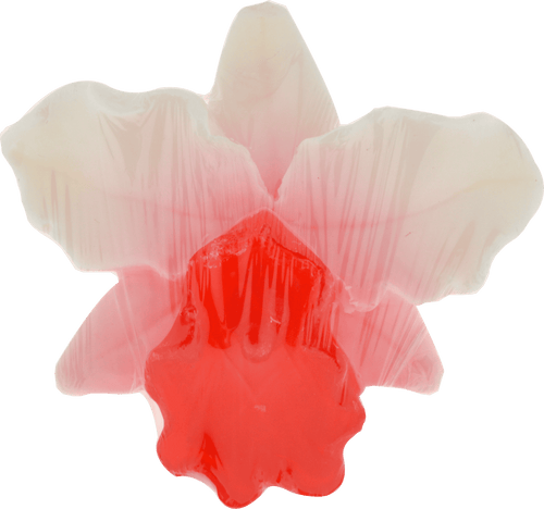 Wb By Hemani - Fruit Soap Orchid