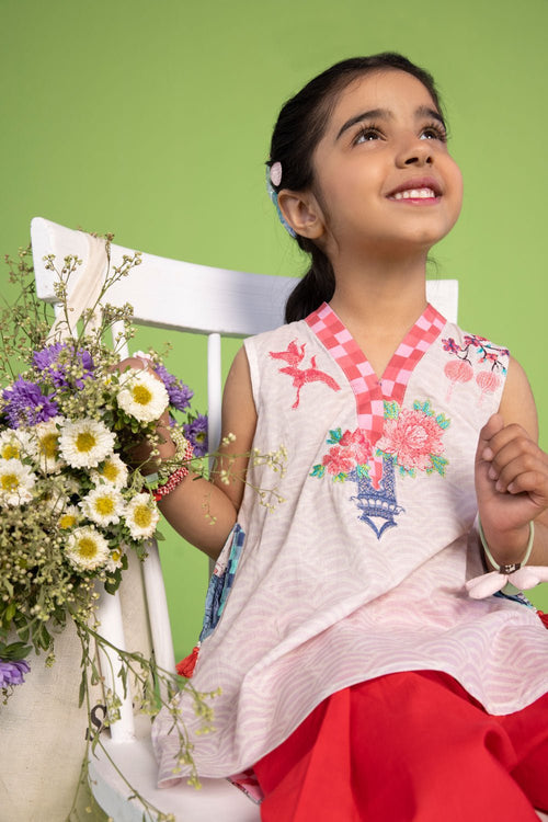 Sapphire - Embroidered Lawn (only Shirt)