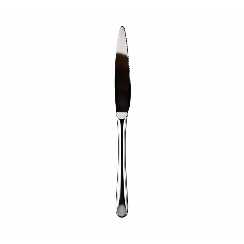 TABLE KNIFE IR 2006 BASIC
