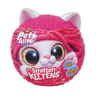 9541 ZURU SMITTEN KITTENS PET