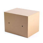 ELECTRIC SAFE IR 17E