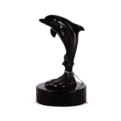 Dolphin Brass E8-R16-B