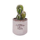 ARTIFICIAL FLOWER IR TMZ83350
