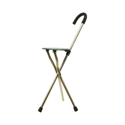 WALKING STICK AND CHAIR IR 492-501