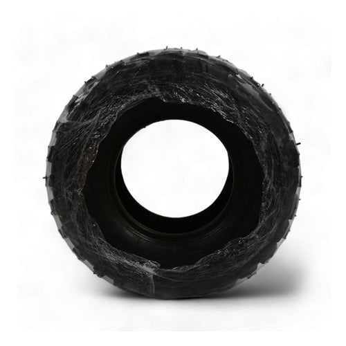 TYER 250CC 22X10X10