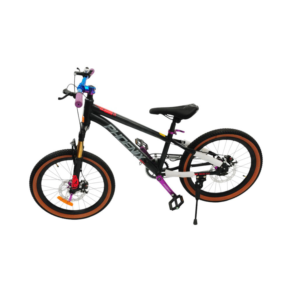 BICYCLE 20INCH JB2D001