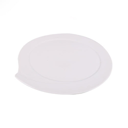 DISH PORCELAIN WHITE IR 12INCH G024