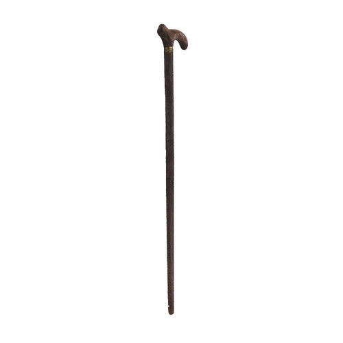 WALKING STICK IR GG6