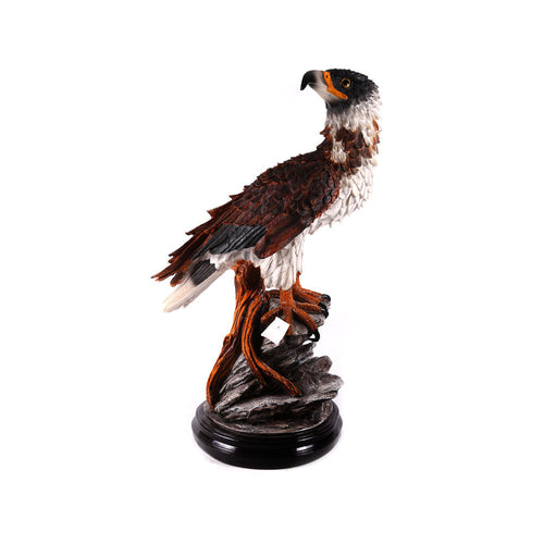 Eagle Ir 6147