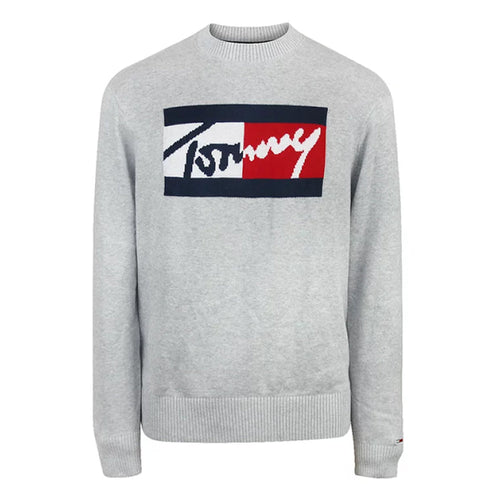 TH MEN L/S R-NECK SWEATER 78J6895-050 GRY S (IR)