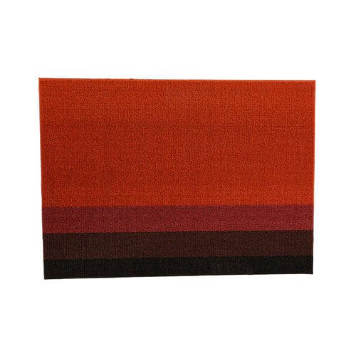 Door Mat Ir 69X51 Dt-81-2