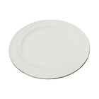 DISH PORCELAIN WHITE IR 10INCH C45