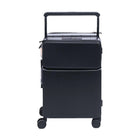 CLK TROLLEY CASE IR 20INCH 8810