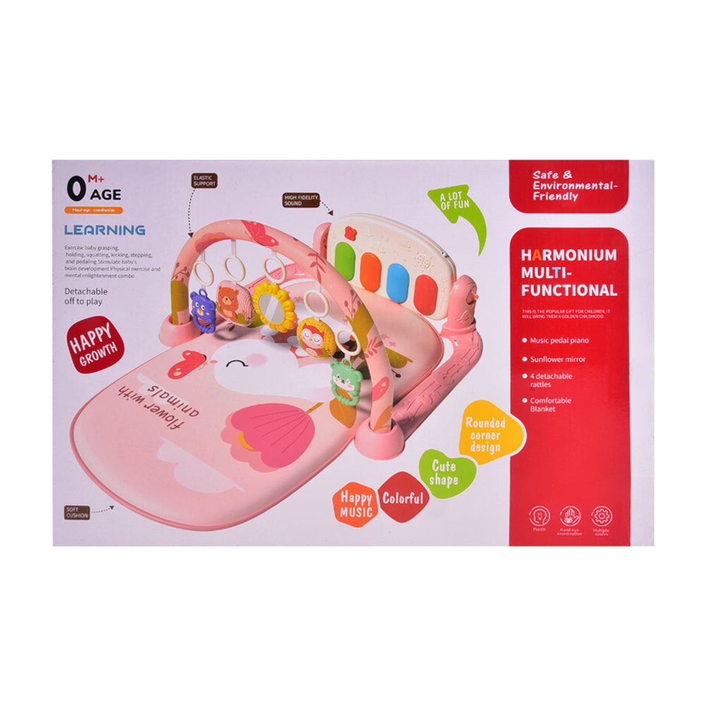 668-220 HARMONIUM PLAY GYM IR