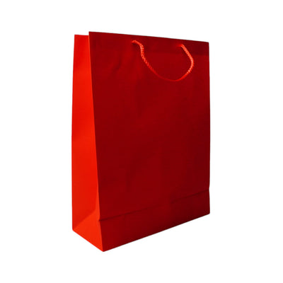 1/360 GLITTER GIFT BAG IR