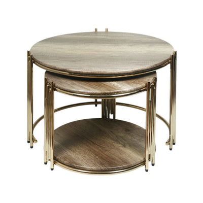 CENTRE TABLE KHAKHI 2 PCS SET