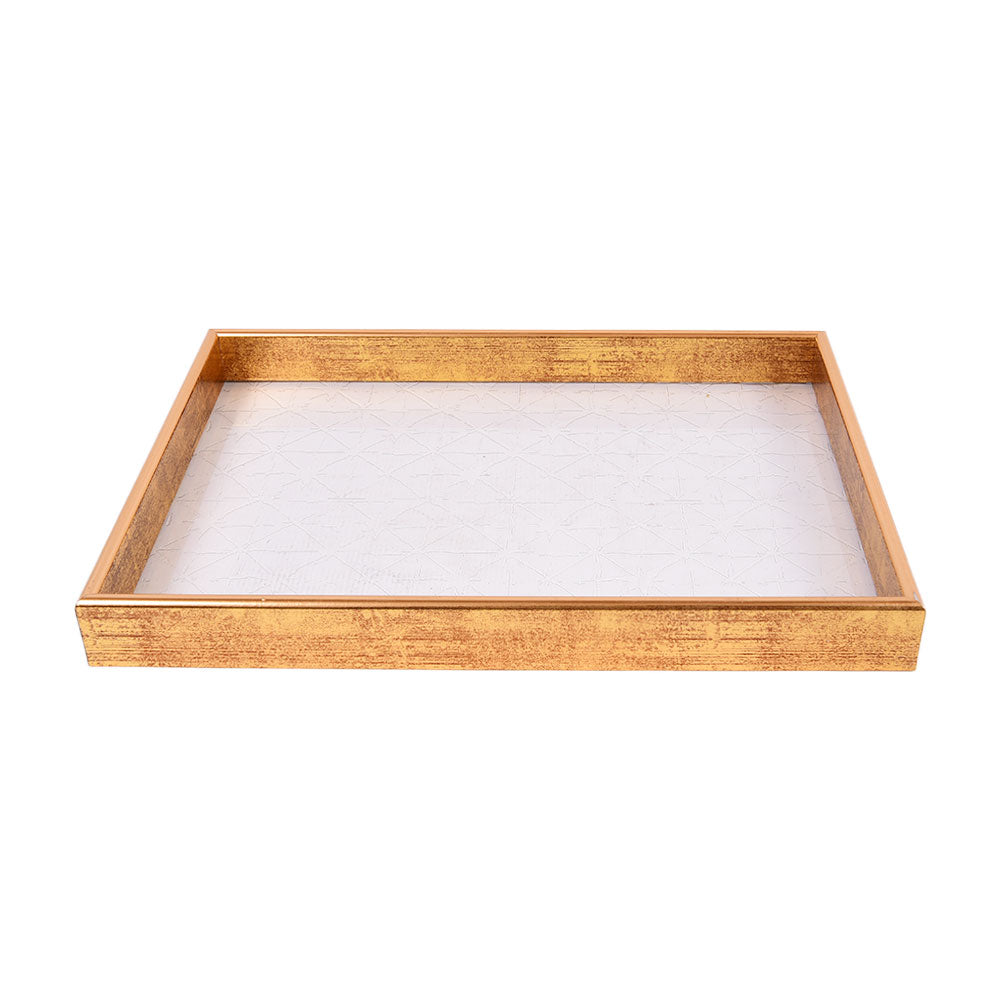 TRAY SURVING 940411-42