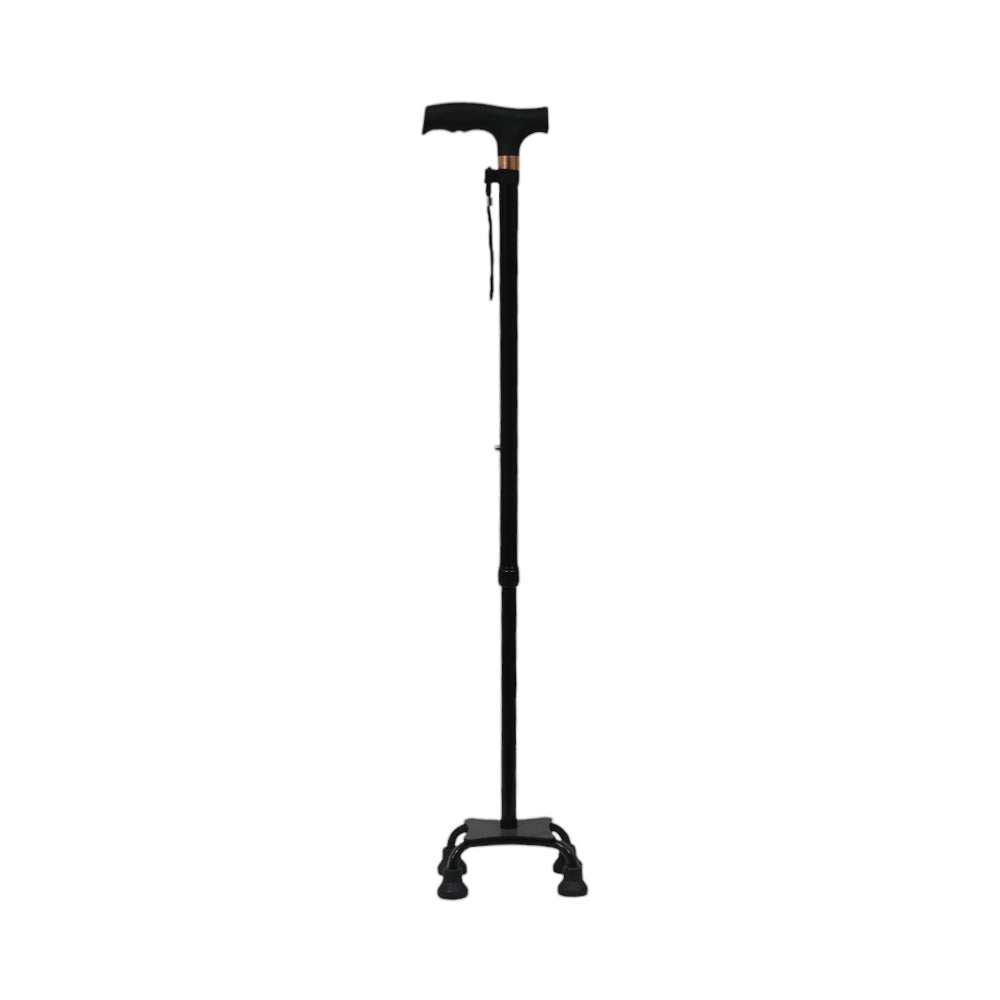 WALKING STICK IR 15506-10