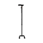 WALKING STICK IR 15506-10