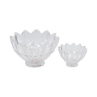FRUIT SET 7PC IR TP-W02508+W02505