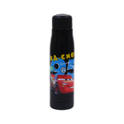 WATER BOTTLE STEEL IR CC61-65