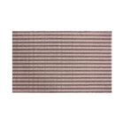 DOOR MAT IR 50X80 DT-14