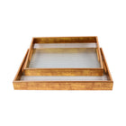 TRAY SURVING 940411-46
