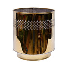 PLANTER GOLDEN 2456 NO2