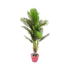 ARTIFICIALTREE 1052