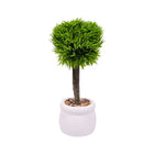 ARTIFICIAL PLANT W-POT IR 0092-37