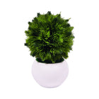 ARTIFICIAL PLANT W-POT IR 0092-50
