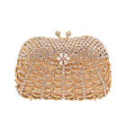 LADIES FANCY CLUCH BAG