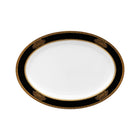 DISH OFFER RS.4900