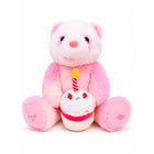 004 MIUSICAL SOFT BEAR WITH CAKE IR