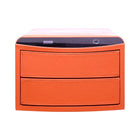 ELECTRIC SAFE IR 123-2