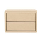ELECTRIC SAFE IR RGC-2-Y