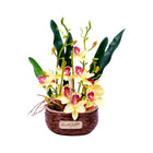 TABLE PLANT WITH POT 2750-24 I.M