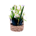 TABLE PLANT WITH POT 2609-7 I.M