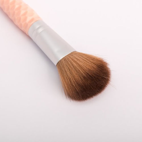 Protools - Cosmetic Blushon Brush