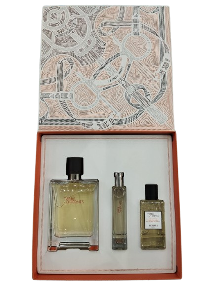 Terre D Hermes Men 3s Set ( Edt 100ml+ Edt 15ml+ Asl 40ml)