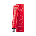 IGORA 6-6 DARK BLONDE AUBURN 60 ML