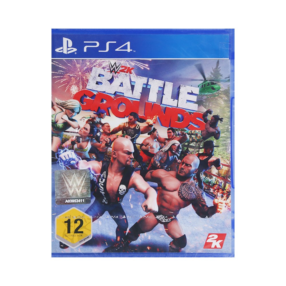 PS4 GAME BETTLE GROUNDS