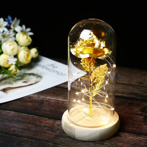 Home.co - Led Foil Rose Glass Dome - Gold