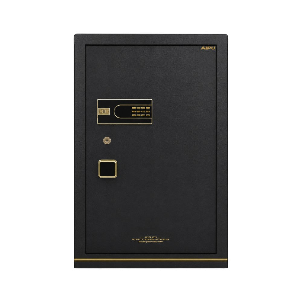 ELECTRIC SAFE IR BGX-5/D1-120SRN