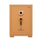 ELECTRIC SAFE IR FDG-A15X1/D-70XR