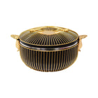 HOT POT 5.5 LTR IR OKK2GB