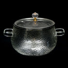 DONGA BOROSILICATE 2.5 LTR Q8321-1