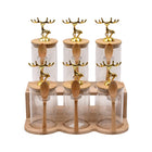 SPICE SET 6PC BOROSILICATE Q2235-6