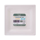 DISPOSABLE PLATE M 10PC PACK IR H-17